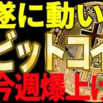 🚀ビットコインが遂に動いた🚀今週爆上げなのか⁉大注目です！【仮想通貨】
