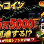 ビットコイン年末25万5000ドルへ！？長期モデルが異常値を示唆