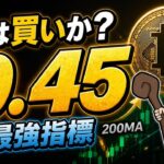 【警告】ビットコイン、今は買いか？答えは“この数値”にある【Ahr999指数】