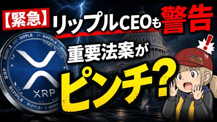 【緊急・リップルCEOも警告】重要法案がピンチ？銀行側の反発と今後の展開について解説！