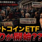 ビットコインETFから１月以来の売りが発生。下落はまだ続くのか？大口は買い増してる？？