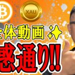 ✨全体動画✨思惑通りの値動き！！今後の目線を共有します！！【 仮想通貨 & GOLD(XAU) チャート分析】 #ビットコイン #仮想通貨 #暗号資産 #テクニカル分析