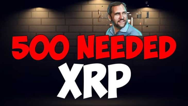 Ripple XRP ALL YOU NEED IS 500 CONFIRMED BY DAVID SCHWARTZ IM NOT KIDDING EITHER!