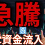 ビットコインにすごい資金流入！仮想通貨SUIが急騰！買うべき？売るべき？