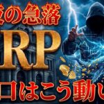 【リップル】知らないと全財産失います。XRP急落を的中させた大口の「次」の狙い