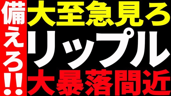 ⚠️リップル（XRP）大暴落間近⚠️大至急見て備えてください！【仮想通貨】