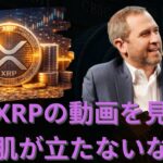 このXRPの動画を見て鳥肌が立たないなら、これから何が起こるか全く想像もつかないだろう。- BTC XRP #xrp #リップル #xrp リップル #xrp #btc