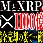 XRPを｢220億円｣全売却したゴールドマン･サックスが裏で｢1100億円｣を･･･。XLM｢数兆円規模｣の巨大決済インフラ構造が創る未来⸺あと2年で100%量子耐性の時代へ【リップル】【ステラ】