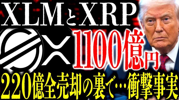 XRPを｢220億円｣全売却したゴールドマン･サックスが裏で｢1100億円｣を･･･。XLM｢数兆円規模｣の巨大決済インフラ構造が創る未来⸺あと2年で100%量子耐性の時代へ【リップル】【ステラ】