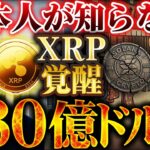 【仮想通貨】XRP（リップル）覚醒30億ドル。日本人だけ知らない３つの異常事態【ゆっくり解説】