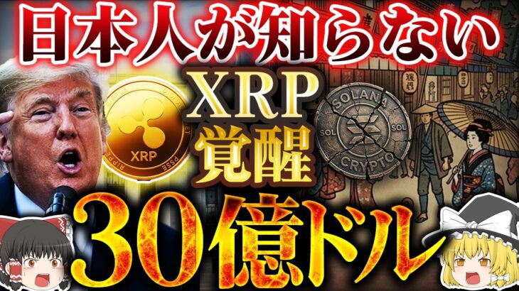 【仮想通貨】XRP（リップル）覚醒30億ドル。日本人だけ知らない３つの異常事態【ゆっくり解説】