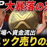 【XRP速報】資金流出で大暴落の危機！SBIの強気発言とリップル586ドルのシナリオとは？【最新情報 仮想通貨 ビットコイン】
