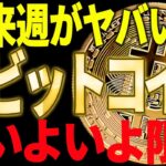 ⚠️ビットコインの来週がヤバい⁉⚠️いよいよ限界なのかを解説します【仮想通貨】
