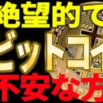 ⚠️ビットコインが絶望的です⚠️今後が不安な方は必ず見て！【仮想通貨】