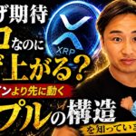 利下げ期待ゼロなのになぜ上がる──ビットコインより先に動くリップルの構造を知っていますか？