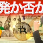 ビットコイン月始めの傾向 ファンダは意味なし