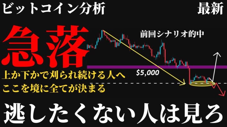【速報⚠️】ビットコイン今後の見通し。また急落で全員が混乱する今、上か下か分からない相場を抜け出すたった1つの基準とは《 仮想通貨 暗号通貨 ビットコイン BTC FX 》