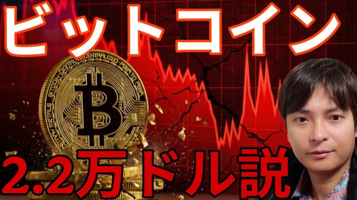 【ビットコイン2.2万ドル暴落説】もう5万ドル台、大底は◯月？ストラテジーと現物ETFも悪影響？