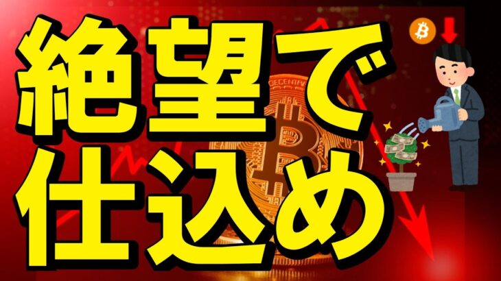 【仮想通貨 ビットコイン】みんなが悲観になった今こそが「大底」のサイン！プロだけが知る逆転の法則（朝活2177）
