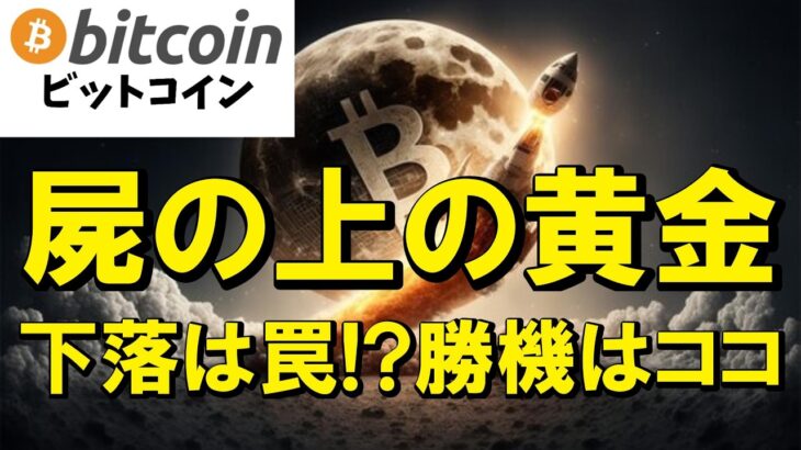 【緊急事態】ビットコイン下落の危機！？…だが待て、大衆の屍の山に隠された「一発逆転の黄金ルート」がここにある！（朝活2187）