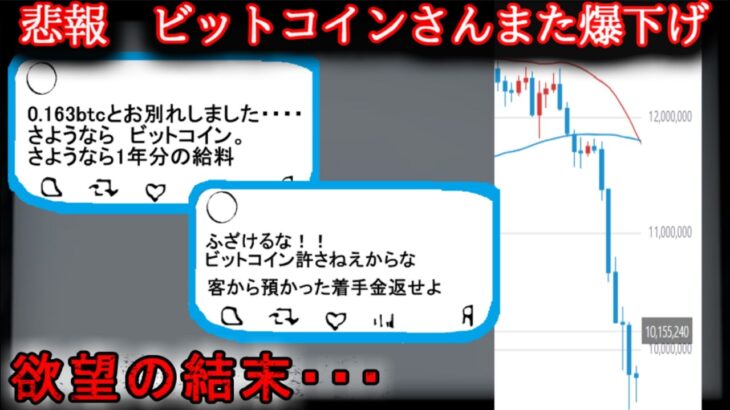 【2ch怖い話】【悲報】ビットコイン、化け物みたいな下落チャートwwww【ゆっくり】