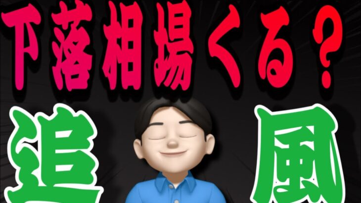 【6.22】今週から下落来るなら圧倒的にチャンスになります👍米国株投資🇺🇸
