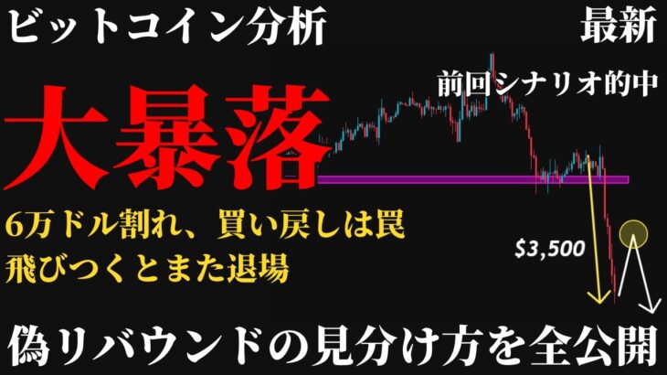 【大暴落⚠️】ビットコイン今後の見通し。6万ドルを割って急落、今の買い戻しは偽リバウンド。飛びつくと退場、本物の反発を見抜く1つの基準とは《 仮想通貨 暗号通貨 ビットコイン BTC FX 》