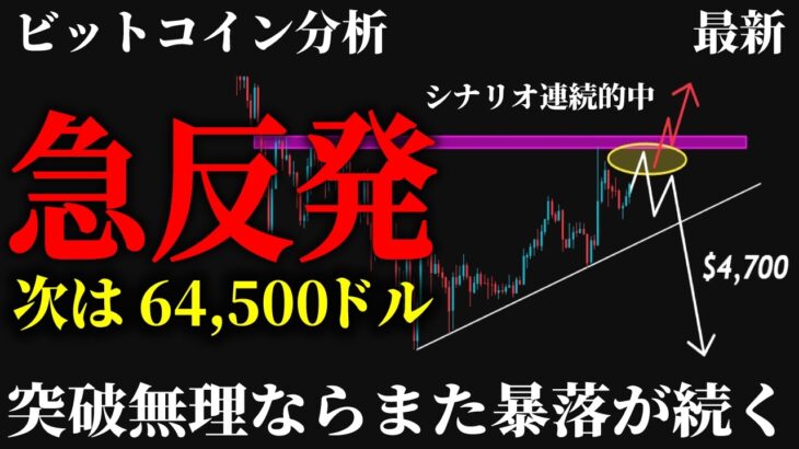 【至急⚠️】ビットコイン急反発も64,500ドルの壁が崩せない。無理ならまた暴落来るぞ！飛びついて焼かれる前に知っておくべき本命シナリオとは《 仮想通貨 暗号通貨 ビットコイン BTC FX 》