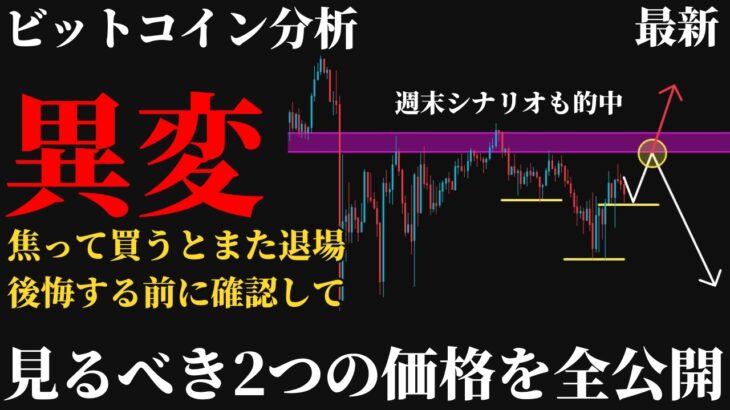 【警告⚠️】ビットコイン6万ドルの戻りで買うな。今飛びつくと刈られる理由と、本当の底になる5.8万ドルの条件とは《 仮想通貨 暗号通貨 ビットコイン BTC FX 》