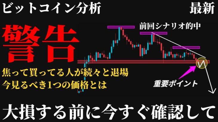 【重要⚠️】ビットコイン今後の見通し。焦って買った人から退場、65,500ドルを割れば再下落。今見るべきたった1つの価格とは《 仮想通貨 暗号通貨 ビットコイン BTC FX 》