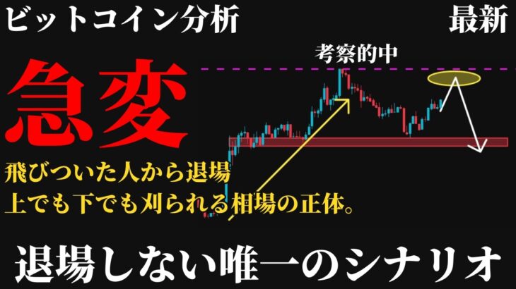 【警戒⚠️】ビットコイン67,000ドルで急変。飛びついた人から退場していく。上でも下でも刈られる相場で唯一やるべき立ち回りとは《 仮想通貨 暗号通貨 ビットコイン BTC FX 》