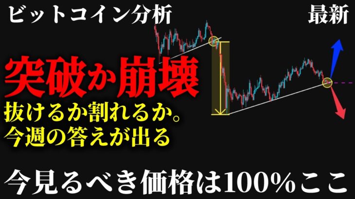 【緊急⚠️】ビットコインまだ買うな！運命の6月相場スタート。74,000ドルが今週最大の分岐点になる理由と今見るべき本命価格を全公開《 仮想通貨 暗号通貨 ビットコイン BTC FX 》