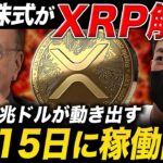 【リップル速報】7月に全米株式がトークン化されます。売らずに増やす富裕層のXRP戦略とは？【仮想通貨 最新情報】