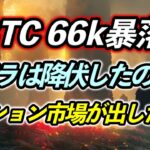 BTC66k暴落…クジラは降伏したのか？オプション市場が出した答え