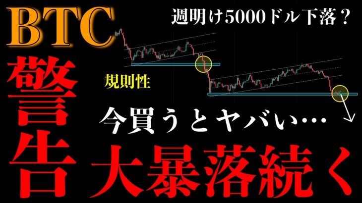 ⚠️ビットコイン“大暴落続く”。今買うとヤバい…週明けさらに落ちる条件とは【BTCUSD分析】