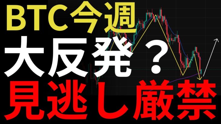 【今週予想】絶対見逃すな。ビットコイン週足と日足で爆上げ前の重大根拠が確定した：BTCUSD分析