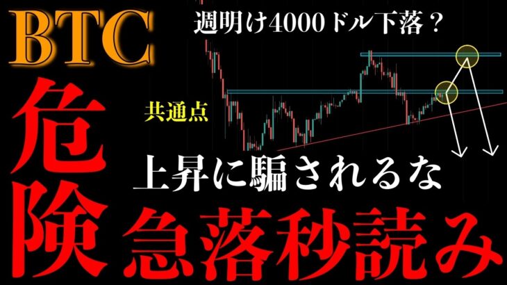 ⚠️ビットコイン“急落秒読み”。この上昇に騙されるな…週明け下落の条件とは【BTCUSD分析】