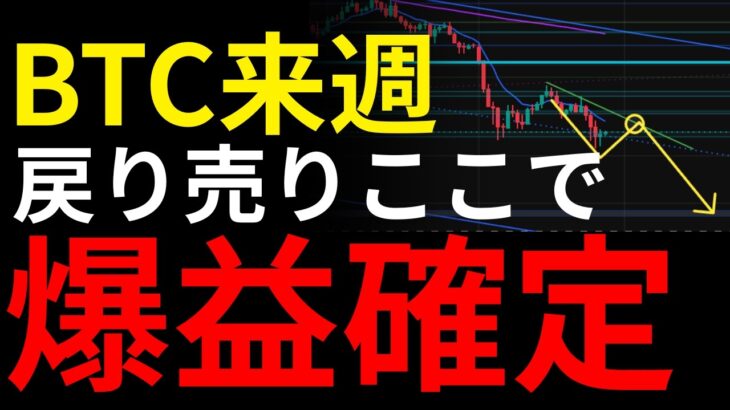 【週明け予想】ここだけは絶対逃すな。ビットコイン週足レベルの戻り売りポイントを公開する：BTCUSD分析