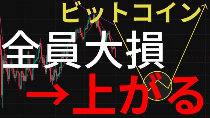 【退場？】ビットコイン弱気だらけ。 その時に来ます：BTCUSD分析
