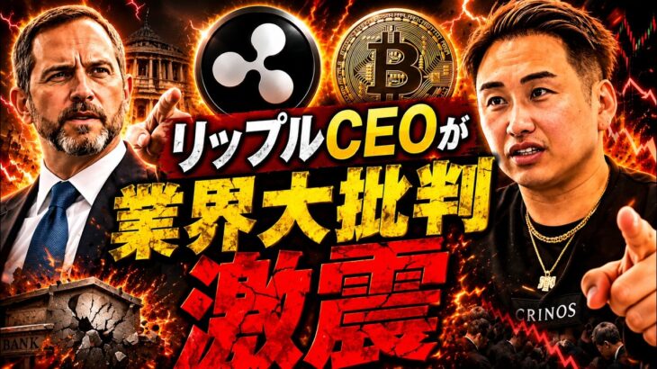 リップルCEOが業界を大批判！？激震が走る・・・