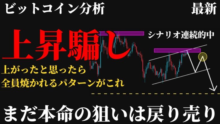 【警告⚠️】ビットコインCPI後の上昇は騙しだった。62,500ドルで焼かれた人が今すぐやるべき唯一の戻り売り戦略とは《 仮想通貨 暗号通貨 ビットコイン BTC FX 》