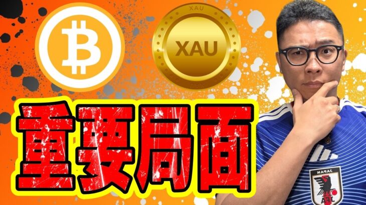 🎶全体配信🎶重要局面！チャートを注視しろ！！【 仮想通貨 & GOLD(XAU) チャート分析】 #ビットコイン #仮想通貨 #暗号資産 #テクニカル分析