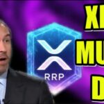 RIPPLE XRP NEW RELEASE