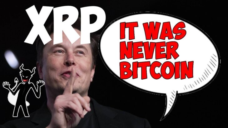 Ripple XRP ELON MUSK KNOWS!!!!