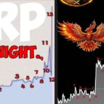 Ripple XRP RESET! RESET! RESET!!!