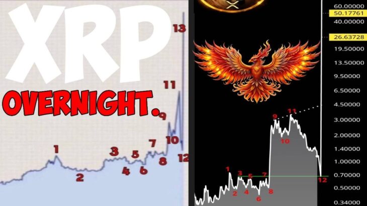Ripple XRP RESET! RESET! RESET!!!