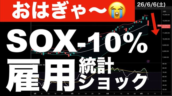 【おはぎゃ〜😭】雇用統計きっかけでSOX-10%超え　#米国株 #日経平均 #sp500 #soxl #nvda