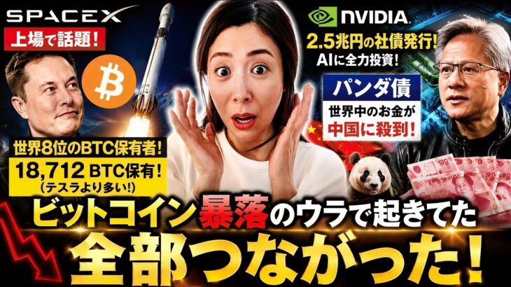 ビットコイン暴落はなぜ？SpaceXもAIも”全部つながってた”話【仮想通貨米国株初心者向け】