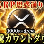 【リップル最新】クジラが隠し続けてきた「XRP史上最高値更新」の全スケジュールが流出！【暗号資産　最新情報】