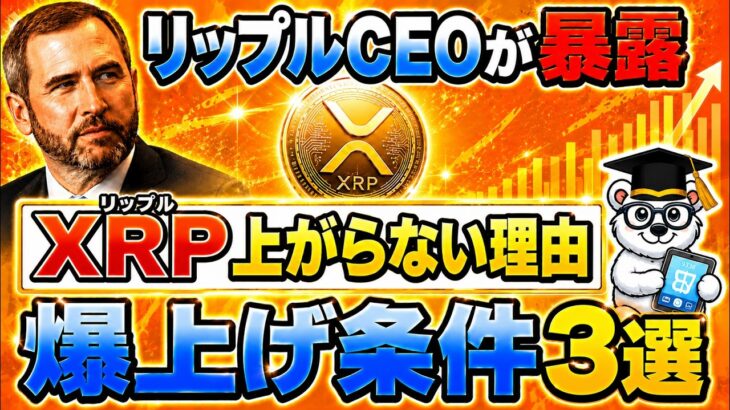 【暴露】ウォール街が爆買い中のリップル(XRP)を○○枚持ってない人は一生貧乏確定　1億円に必要な枚数を暴露【仮想通貨】